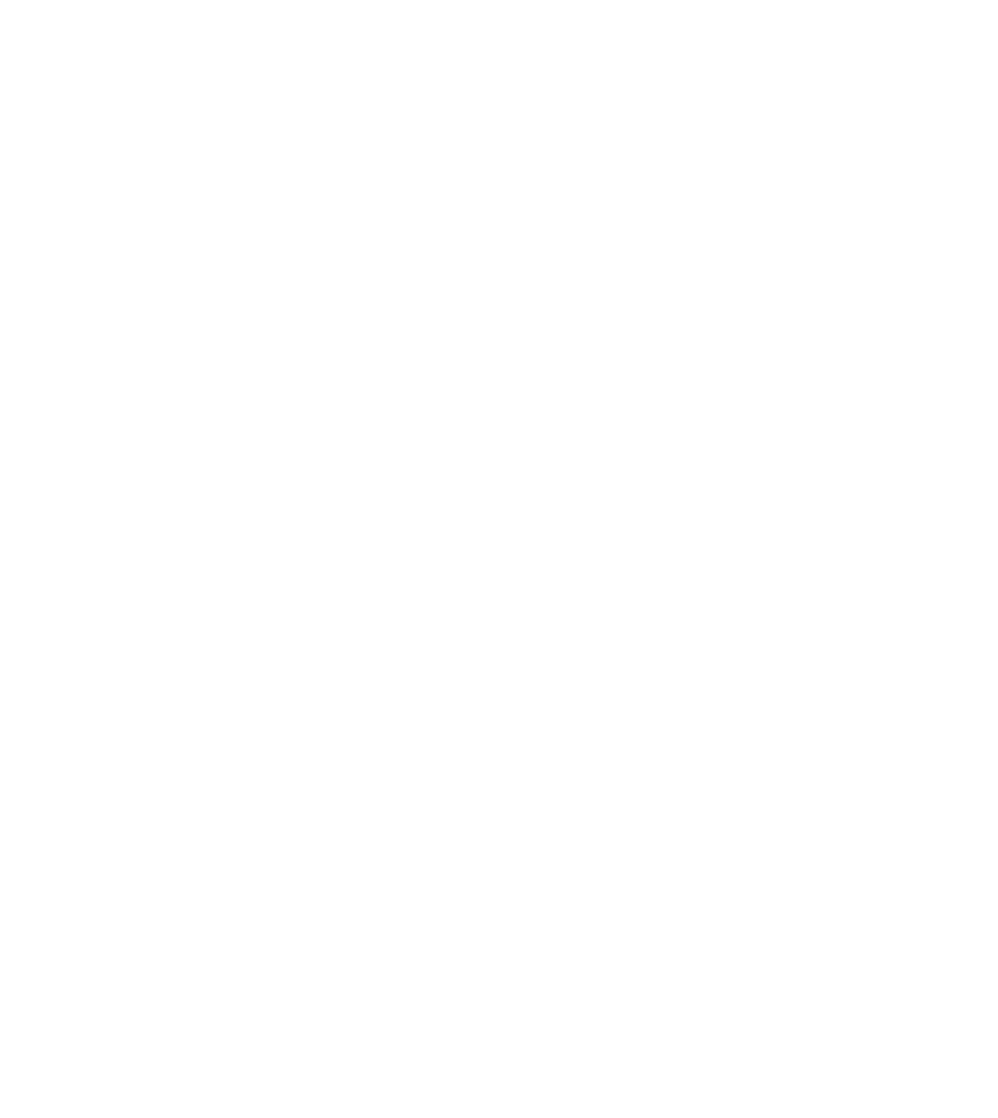 Icon of a Lightbulb