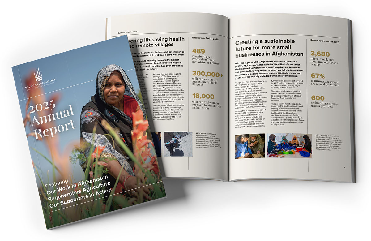 An image of the 2025 Annual Report