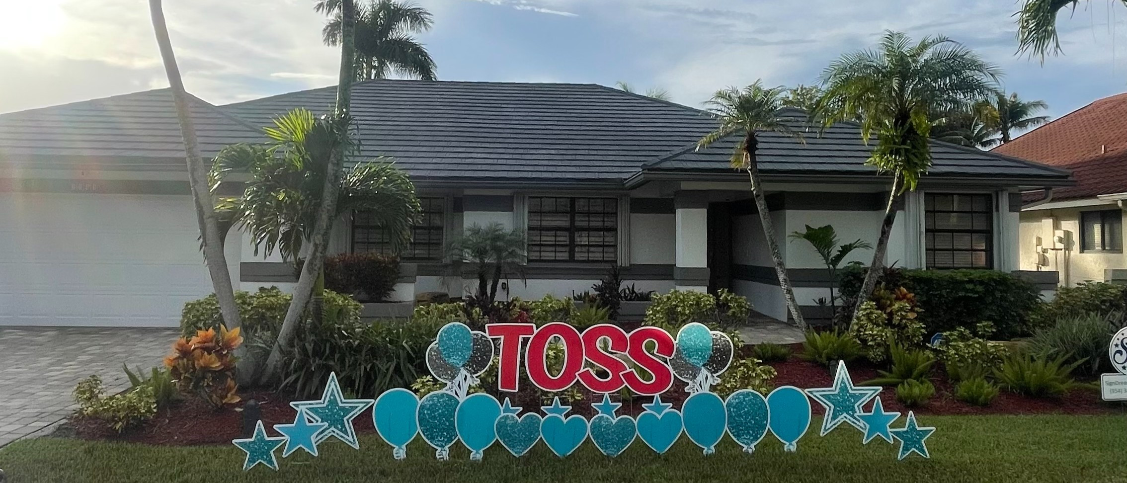 TOSS (Take Out Scleroderma Soon)