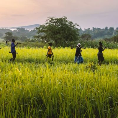 AKF USA Behind the Scenes – Chicago Event